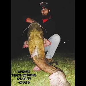 Meet your Posher, Dakota